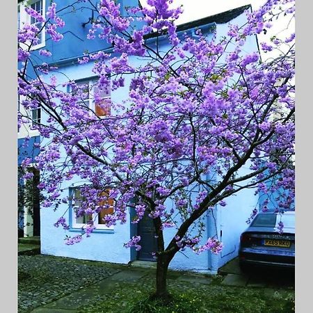 Albion Cottage Кокермут Екстер'єр фото