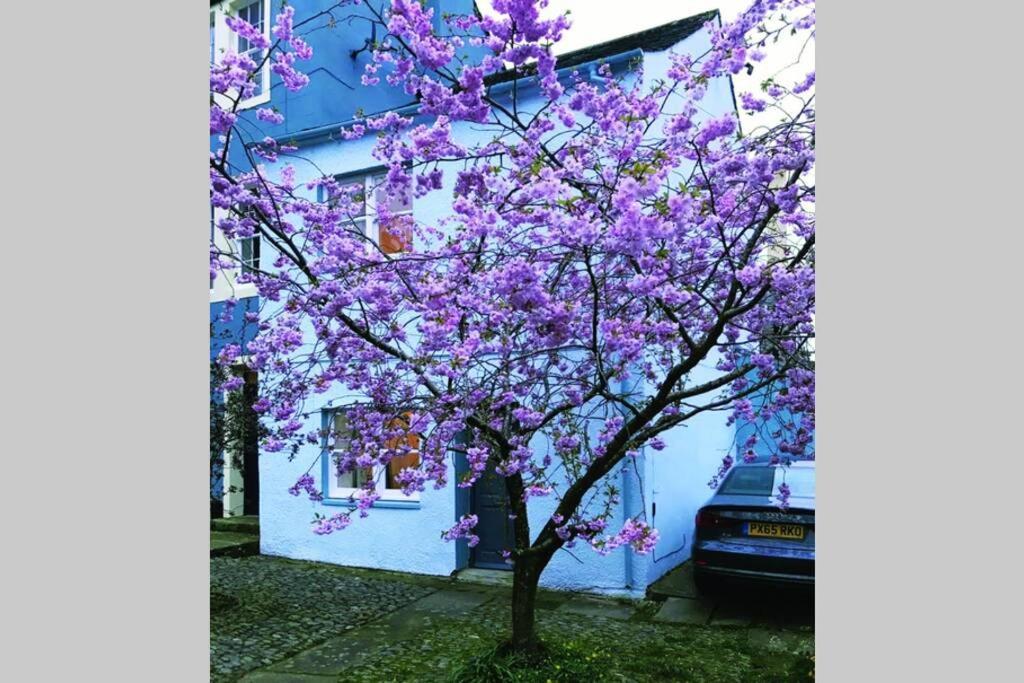 Albion Cottage Кокермут Екстер'єр фото
